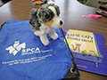  Gift bag featuring a book and a plush toy dog
